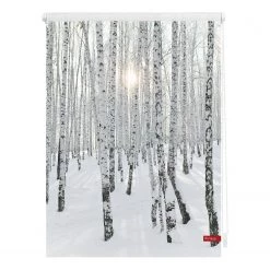 Lichtblick Store enrouleur forêt de bouleaux - Tissu - Blanc / Noir - 120 x 150 cm
