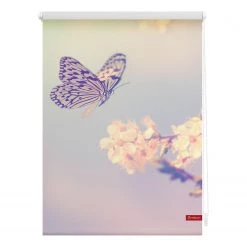 Lichtblick Store enrouleur papillon - Tissu - Pastel - 60 x 150 cm