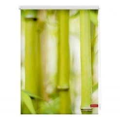 Lichtblick Store enrouleur bambou - Tissu - Vert - 60 x 150 cm