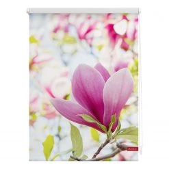 Lichtblick Store enrouleur Magnolia - Polyester - Rose - 120 x 150 cm