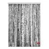 Lichtblick Store enrouleur bouleaux - Tissu - Noir / Blanc - 60 x 150 cm