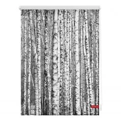 Lichtblick Store enrouleur bouleaux - Tissu - Noir / Blanc - 60 x 150 cm