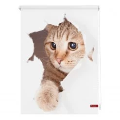 Twentyfour Store occultant chat - Tissu - Blanc / Marron - 45 x 150 cm