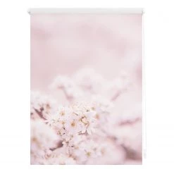 Lichtblick Store occultant sans perçage Cerisier - Polyester - Rose / Blanc - 120 x 150 cm