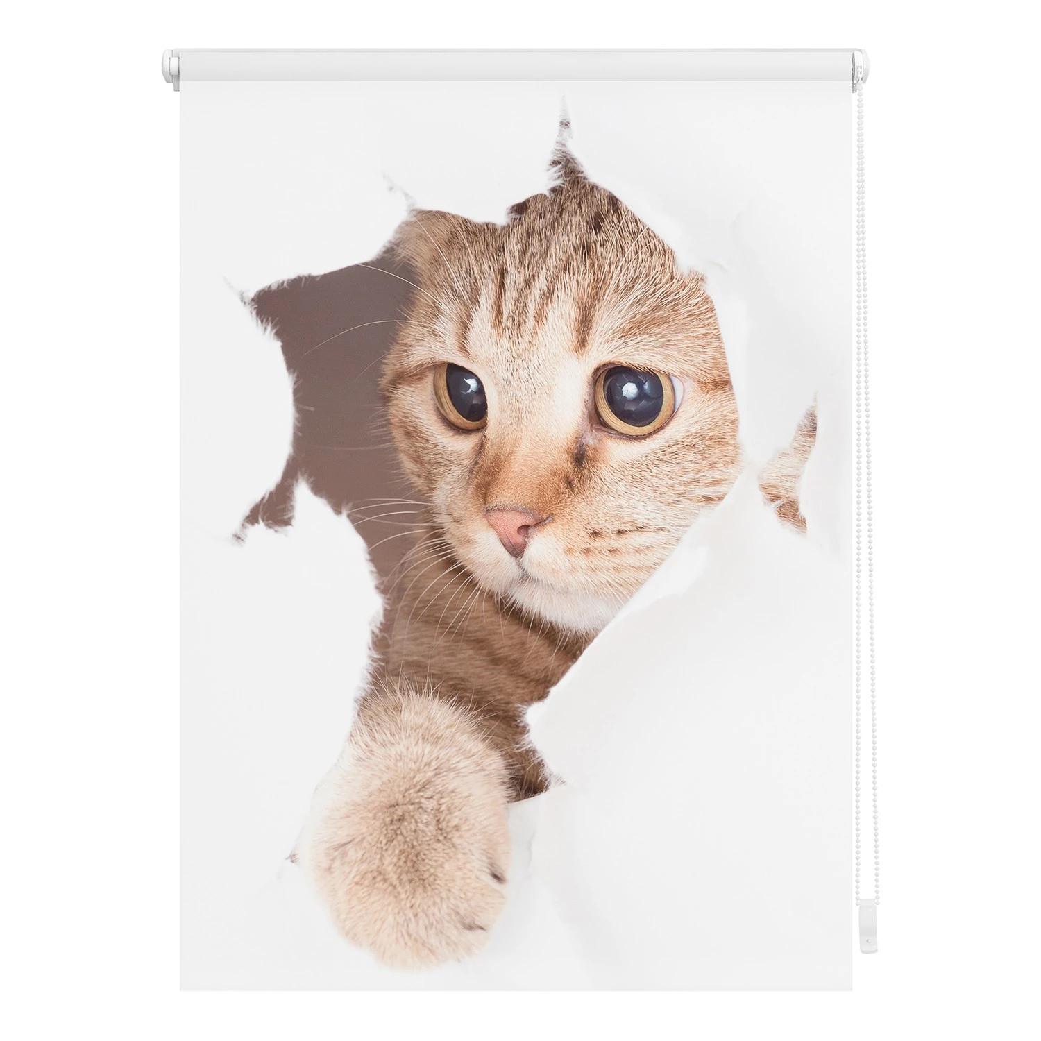 Lichtblick Store enrouleur sans perçage Chat - Polyester - Blanc / Marron - 80 x 150 cm 1 Lichtblick Store enrouleur sans perçage Chat - Polyester - Blanc / Marron - 80 x 150 cm